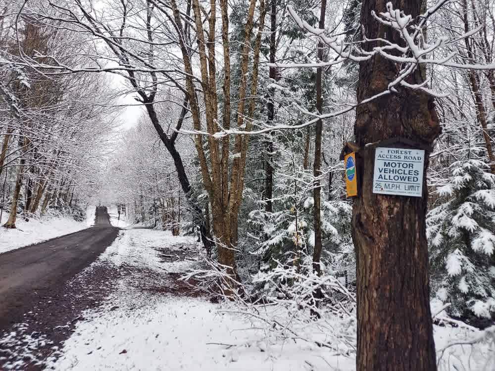 Horace Forward Truck Trail