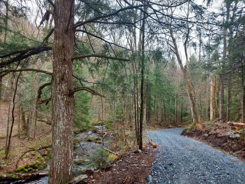 Dunville Hollow Road