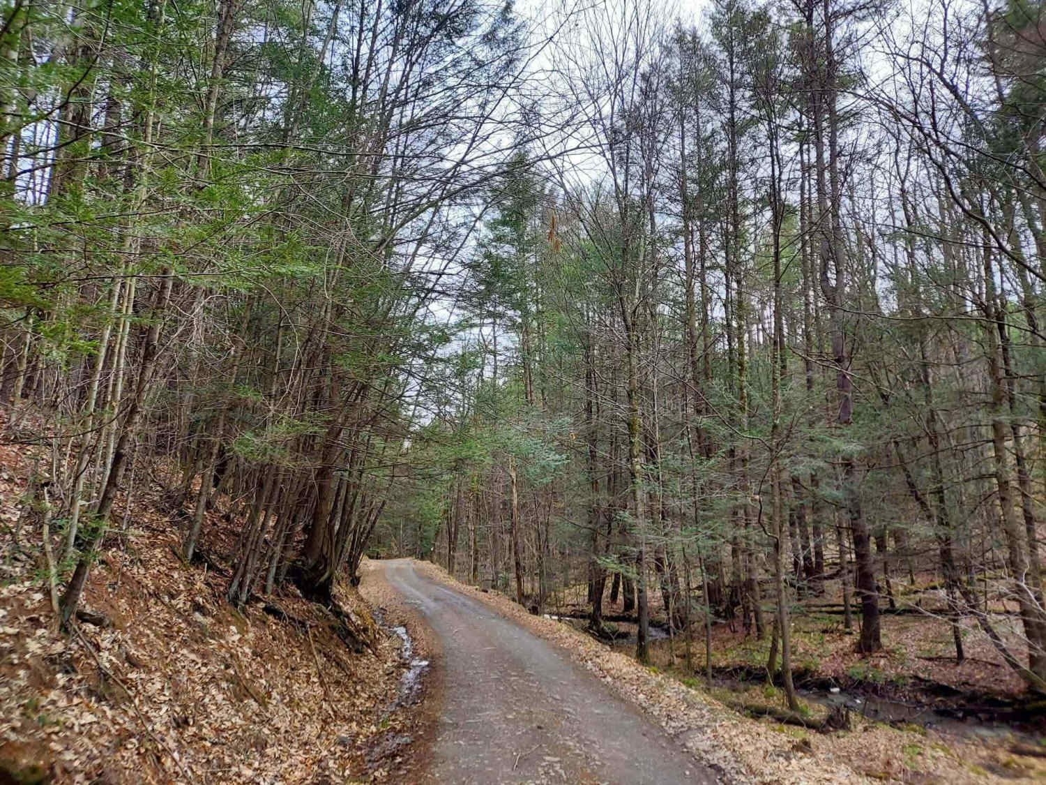 Summerson Road