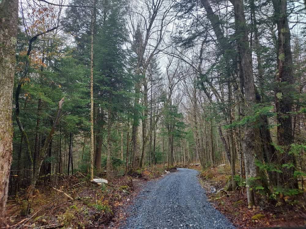 Dunville Hollow Road