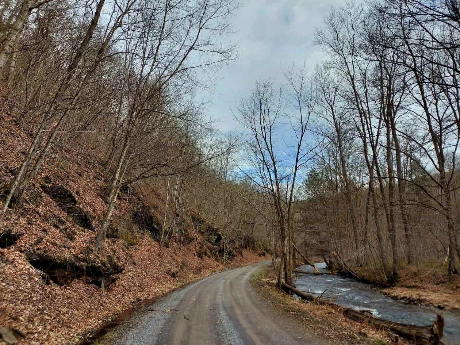 West Hicks Run Road