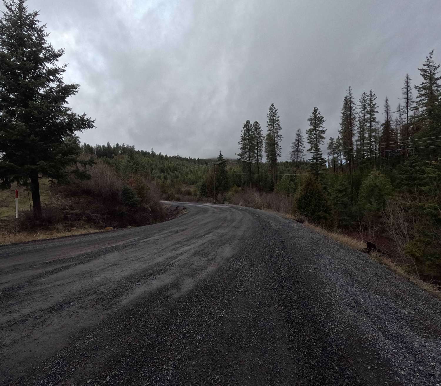 Brush Creek - Trail 289