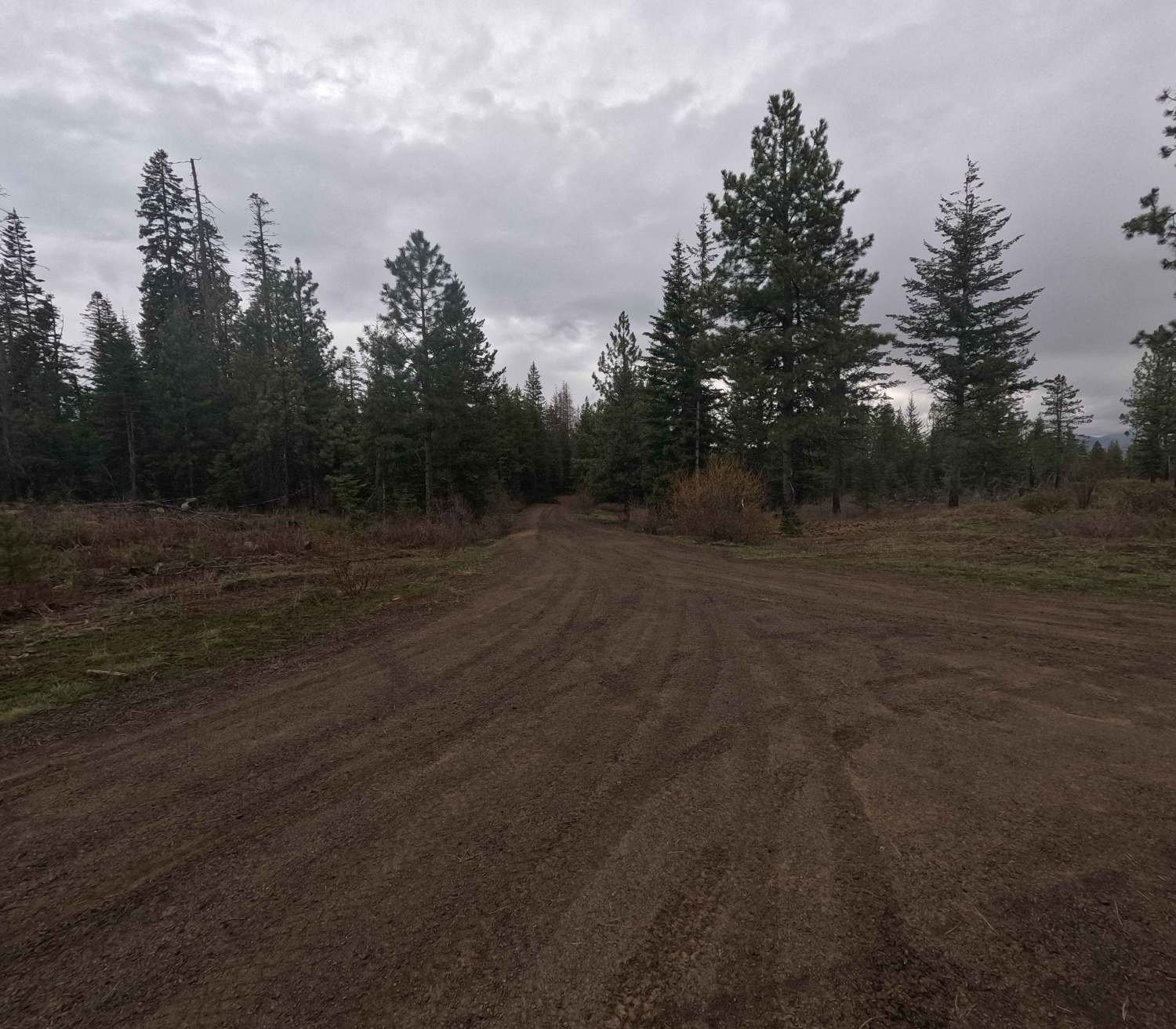 Cross Canyon - FS 6217