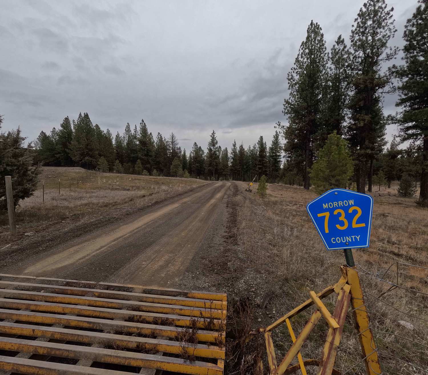 Wilson Creek Road - FS 2128