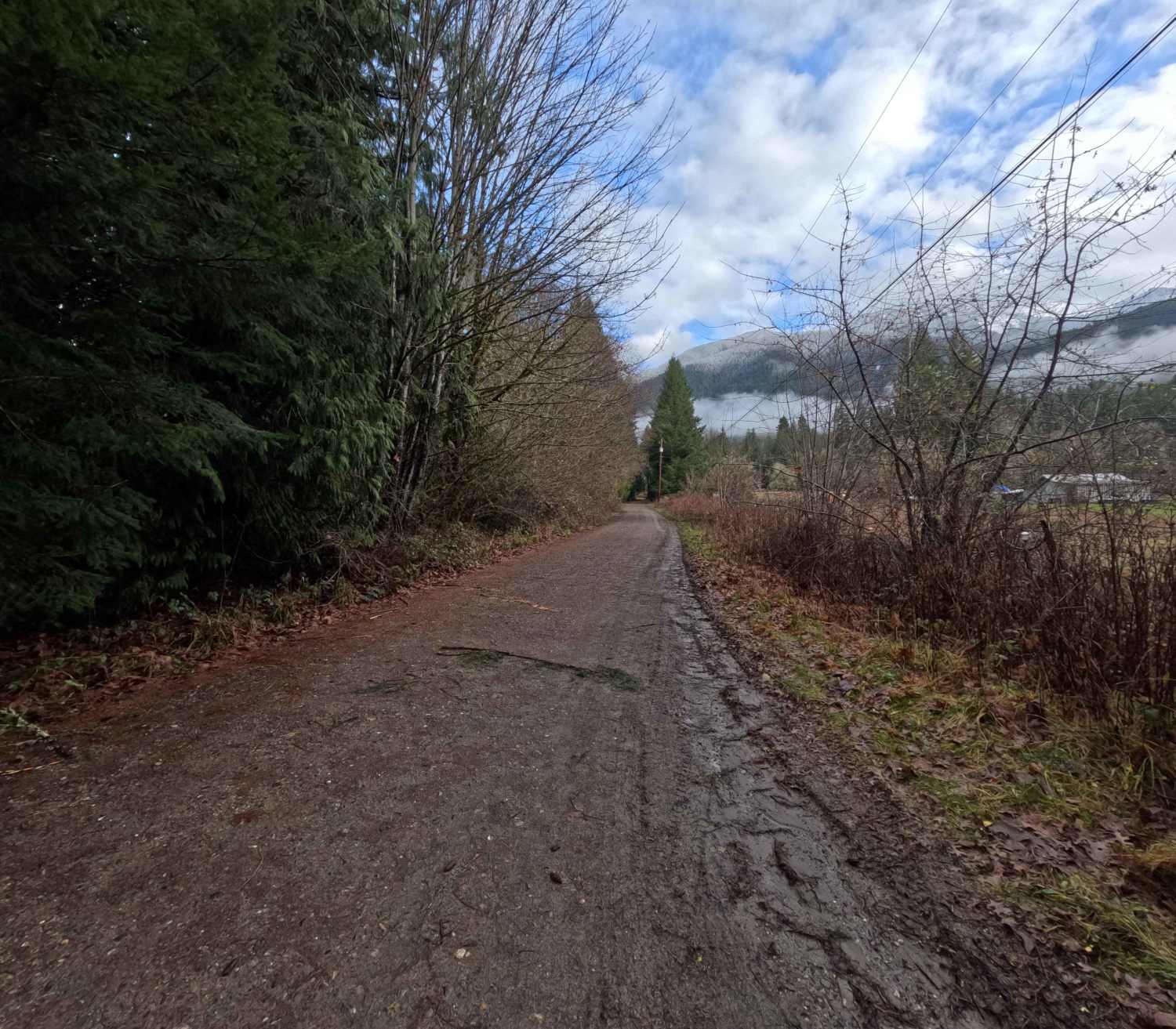 Prairie Mountain - FS 2140