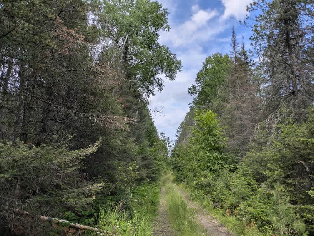 Forest Service Road 406