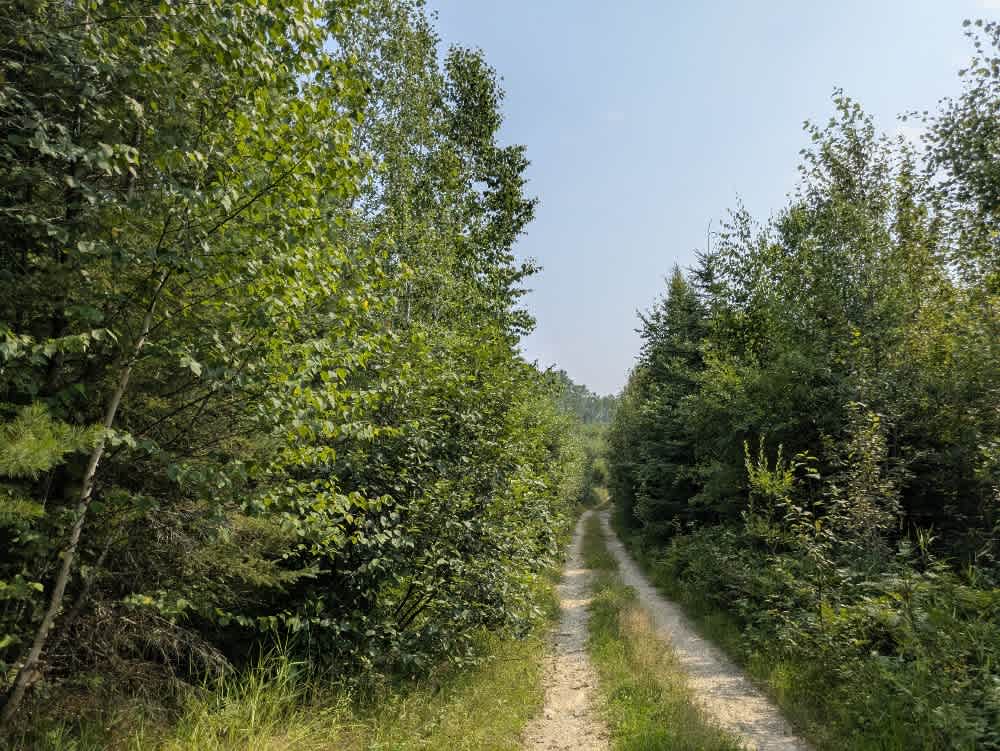 Forest Service Road 487A