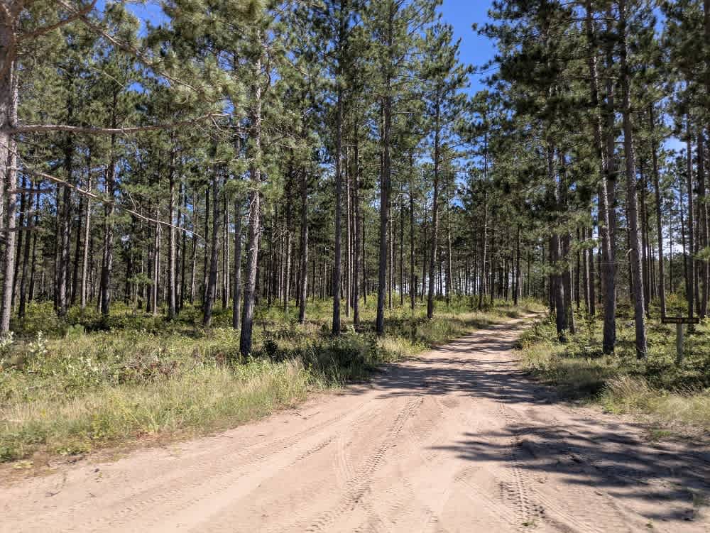 Blacks-Winner Forest Road