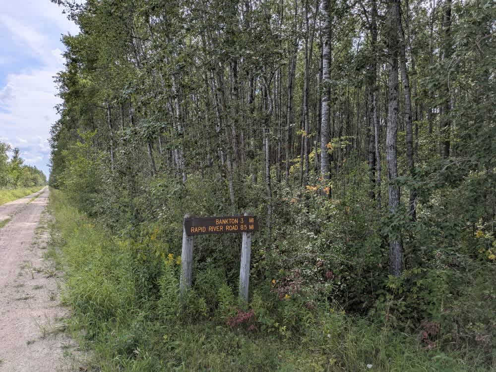 Pitt Grade Forest Trail