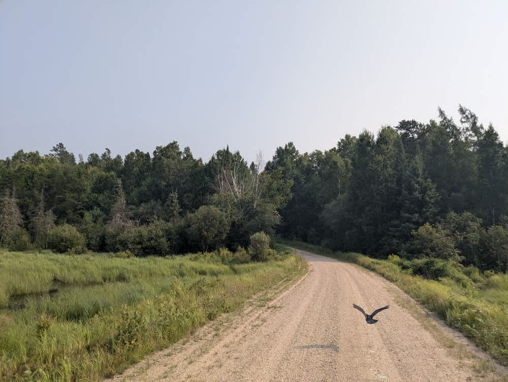 Forest Service Road 471