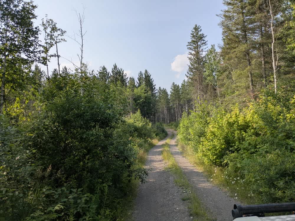 Old Silver Island Lake