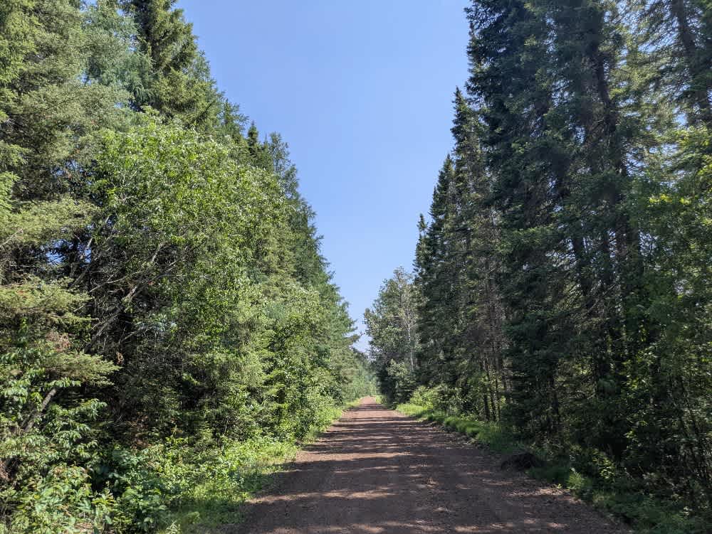 Forest Service Road 379