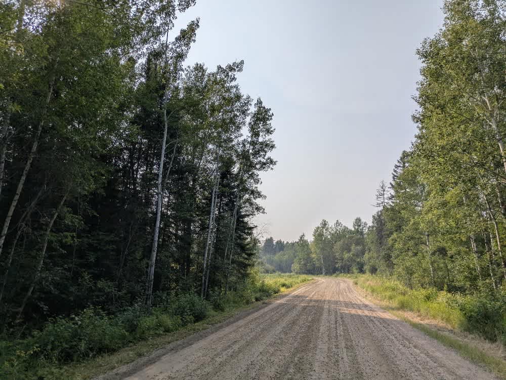 Niles Bay Forest Road