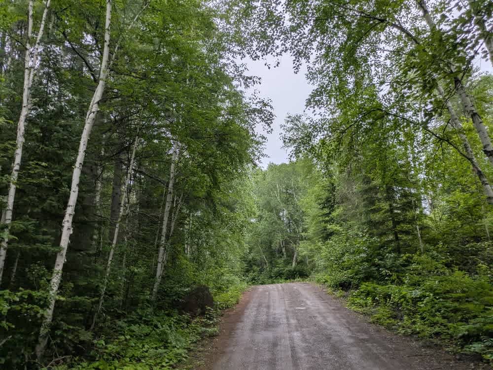 Forest Service Road 1491