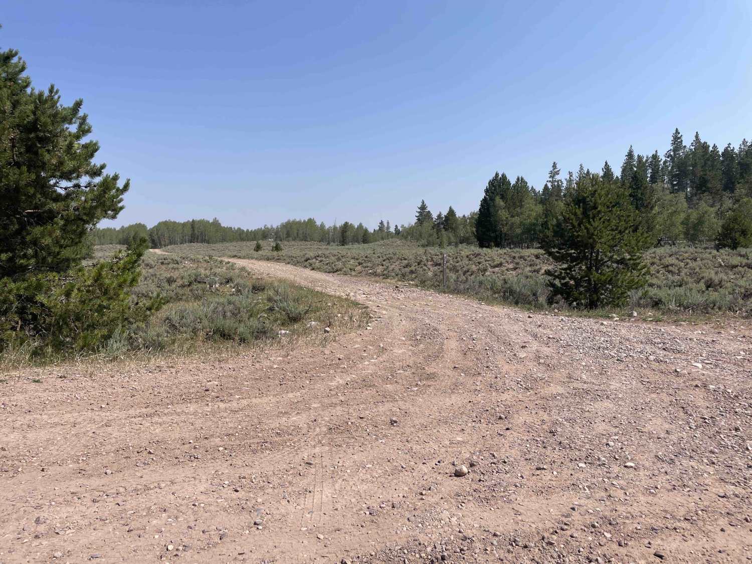 Sage Draw - FS 80341