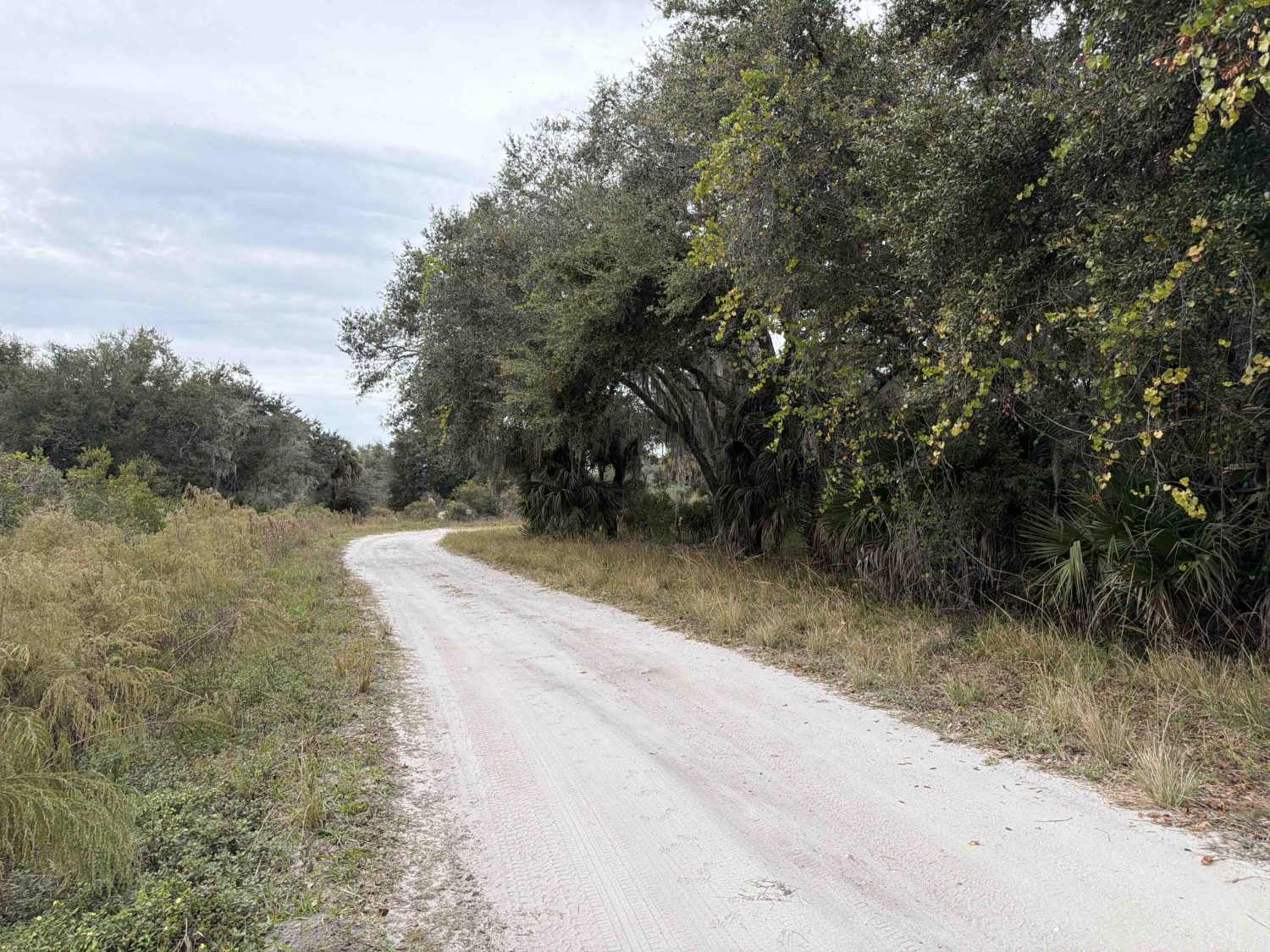 Road 16 - Three Lakes WMA