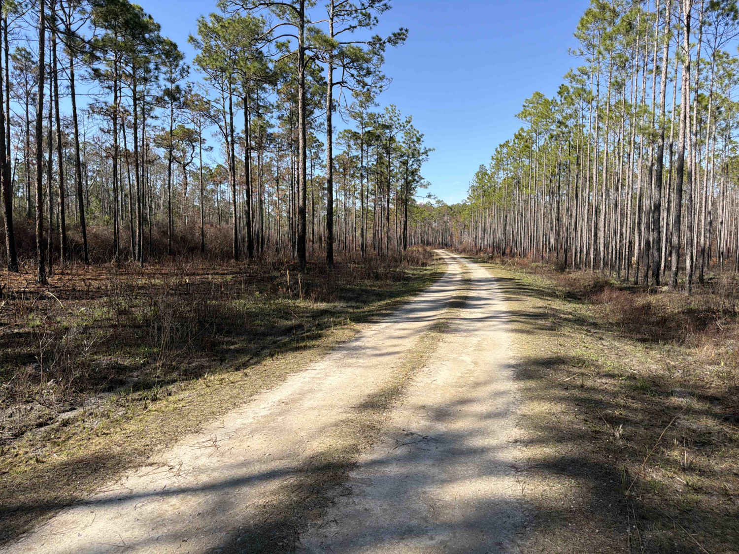 Western Way North - FS 314