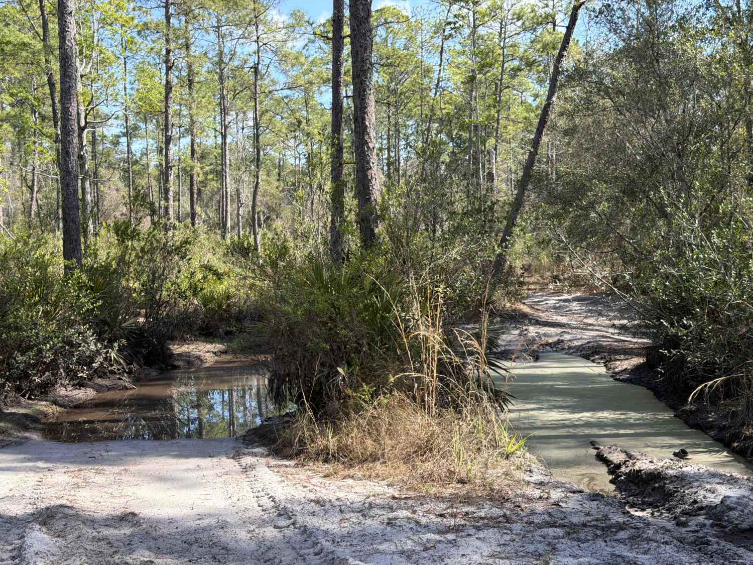 Holland Bypass - FS 308