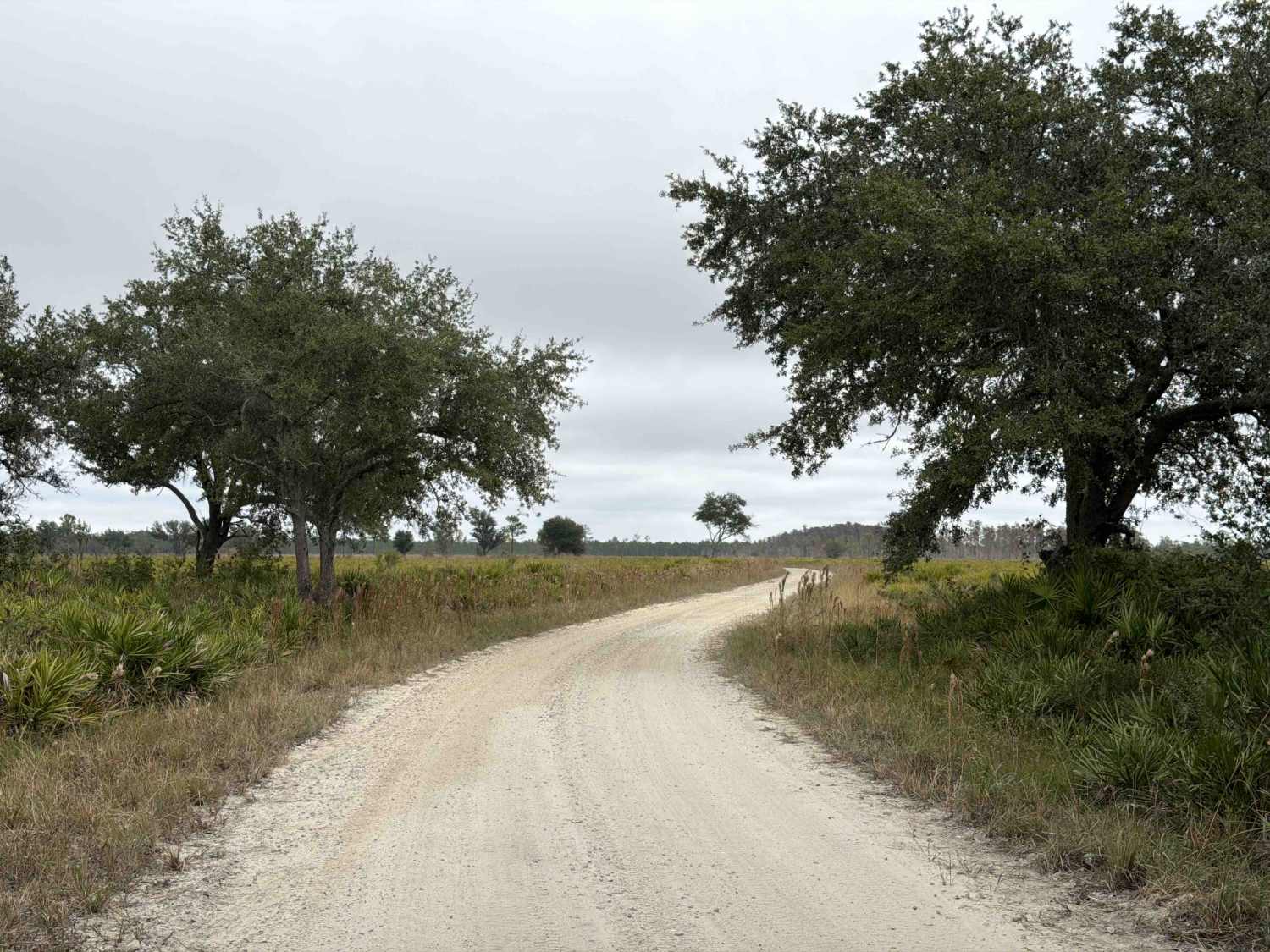 Road 19 - Three Lakes WMA