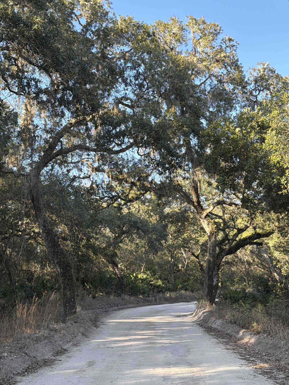 Lake Kerr Key - FS 316