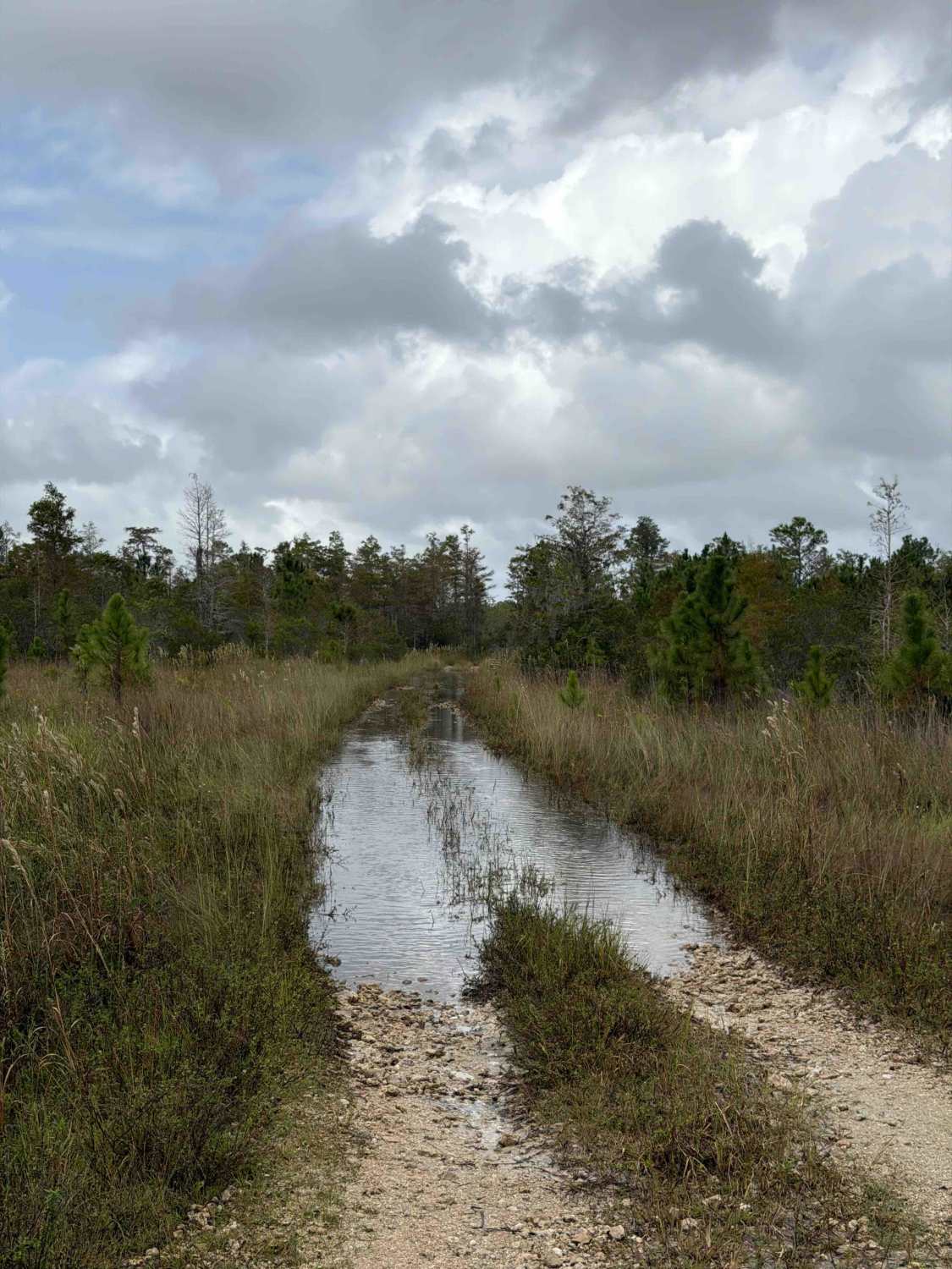 Road 3 Loop - Three Lakes WMA