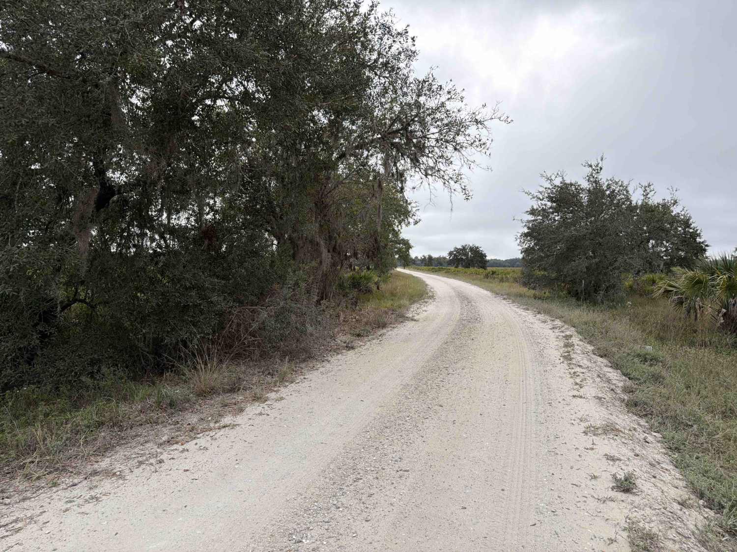 Road 5 - Three Lakes WMA