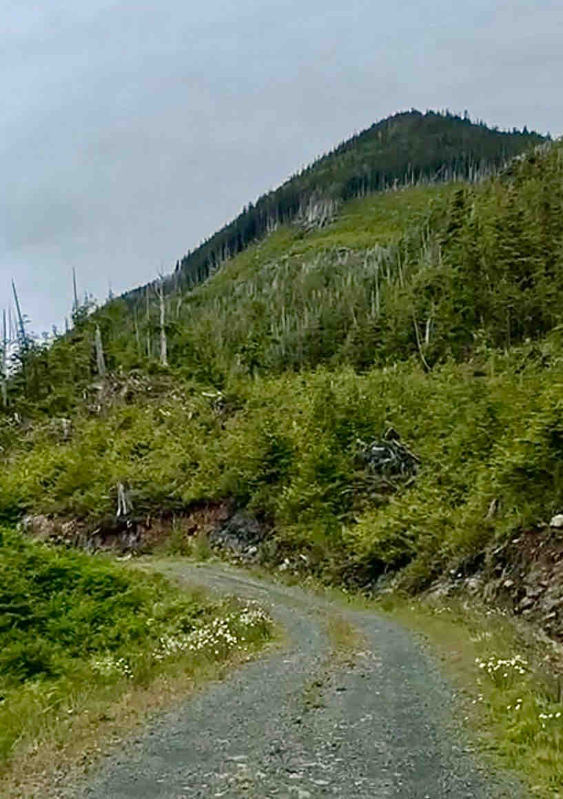 Side Bay Main Part 2