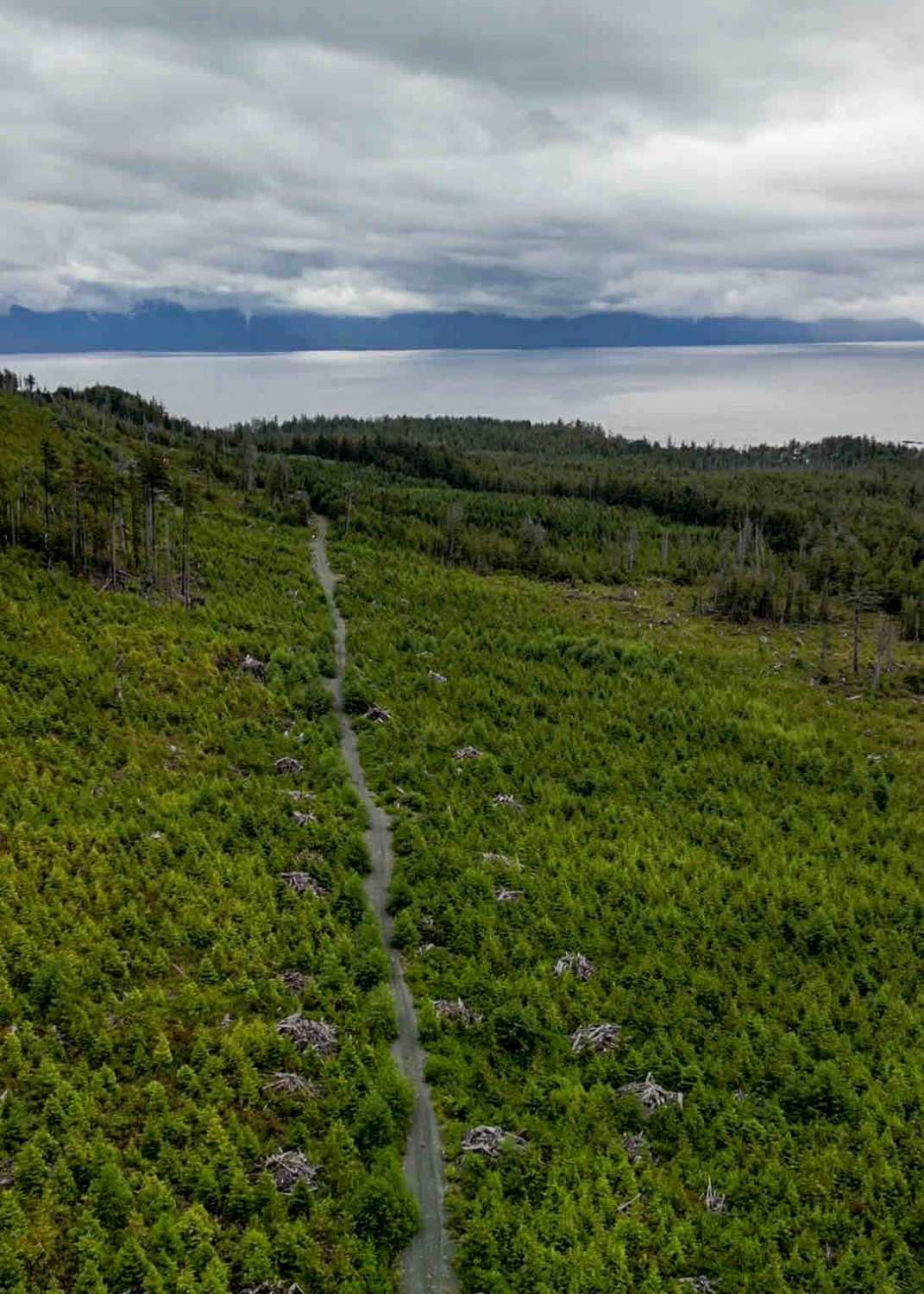 Side Bay Main Part 2