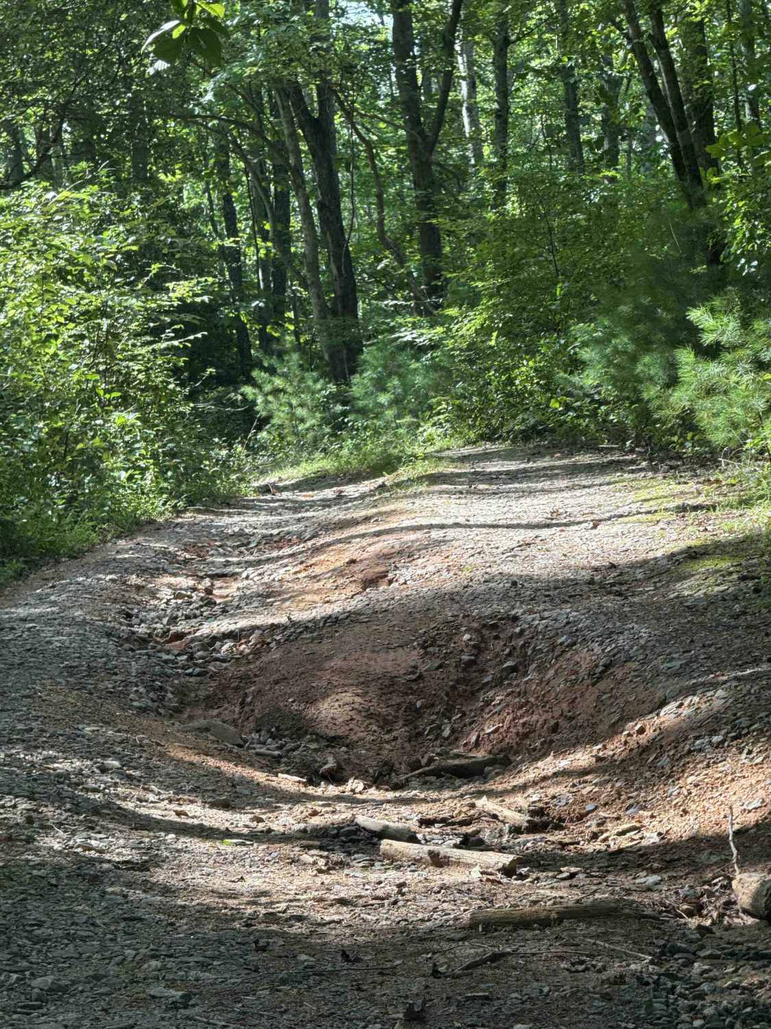 Gillespie Branch - FS 287