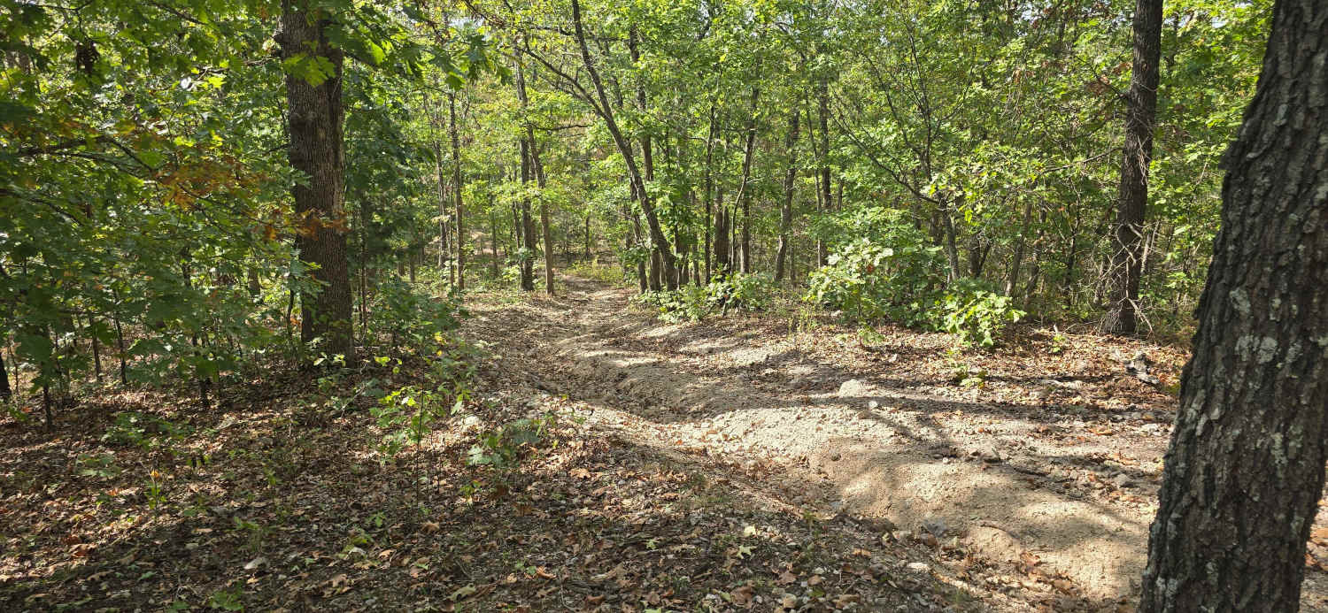 Upper Field Woodlands Trail