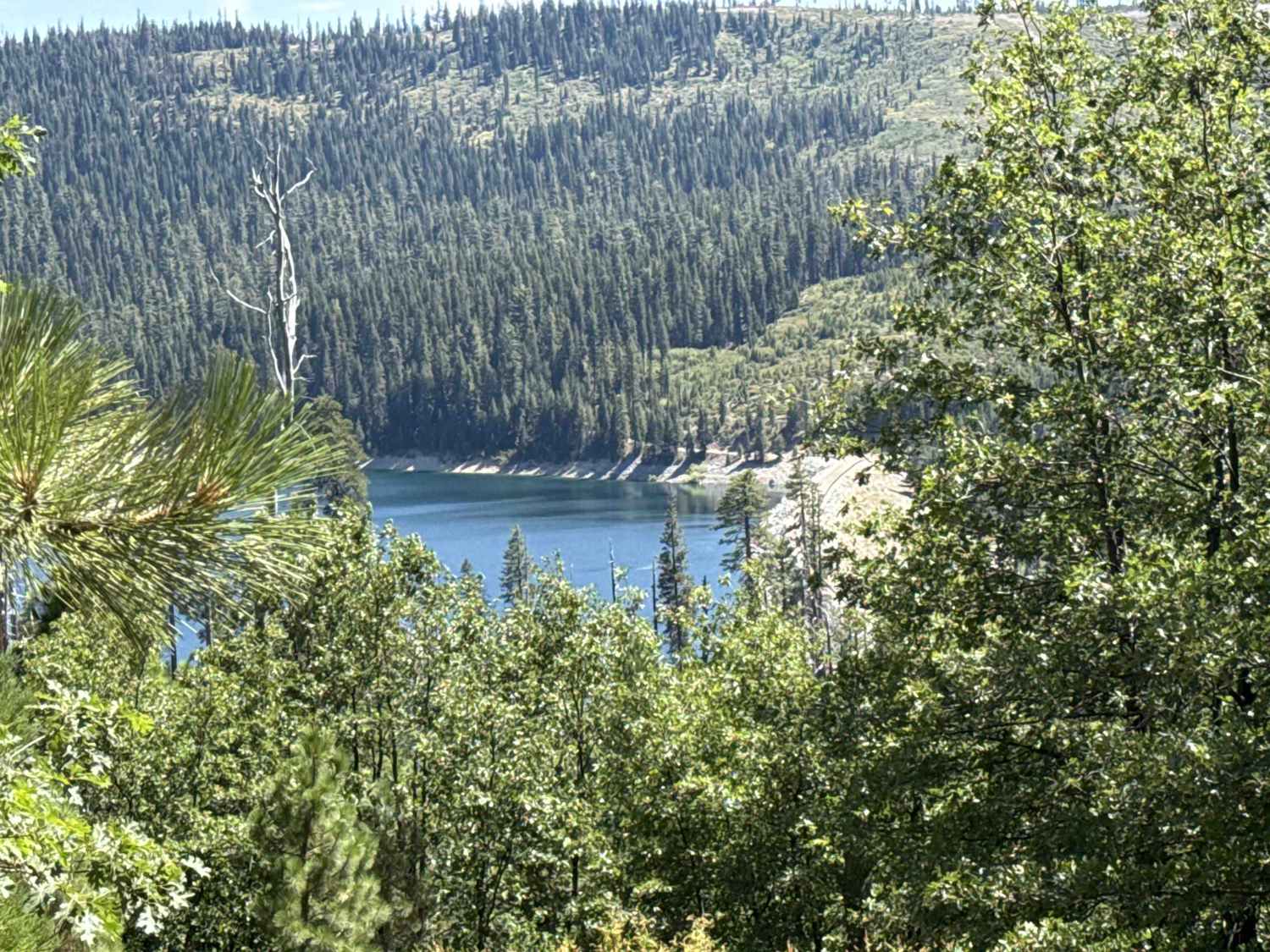 Lake Shore - FS 96-063