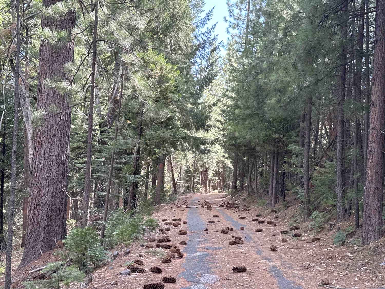 Jack Robinson - FS 16-046-08