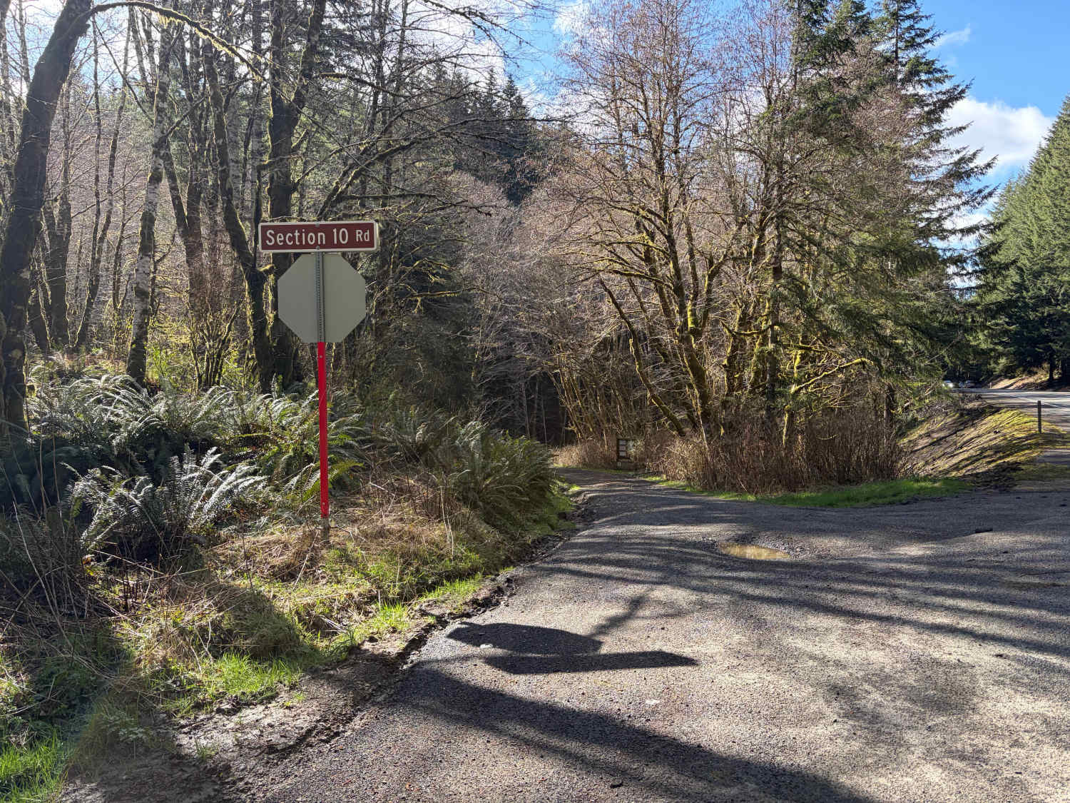 Section 10 Road