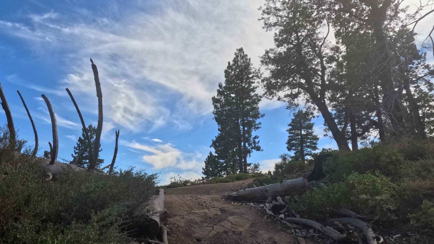 Ten Mile Grade C Spur - FS 4S004C