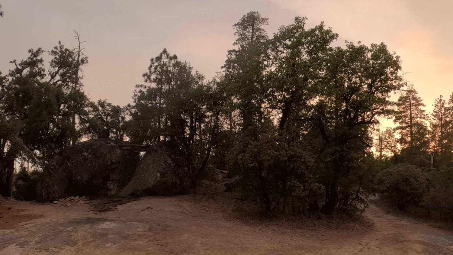 McLeod Flat - FS 5S007Z