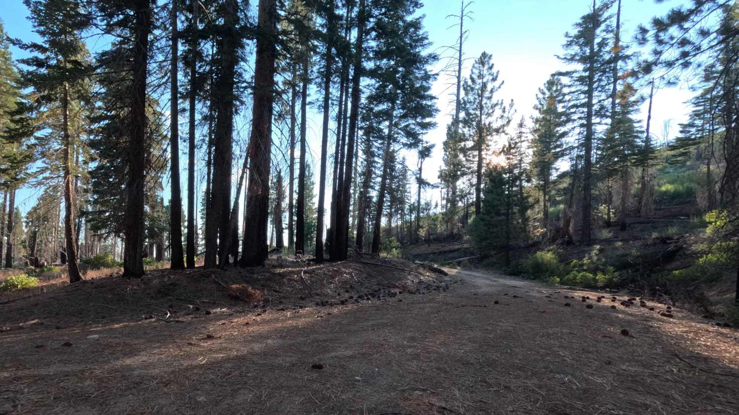 Luman Loop - FS 6S086