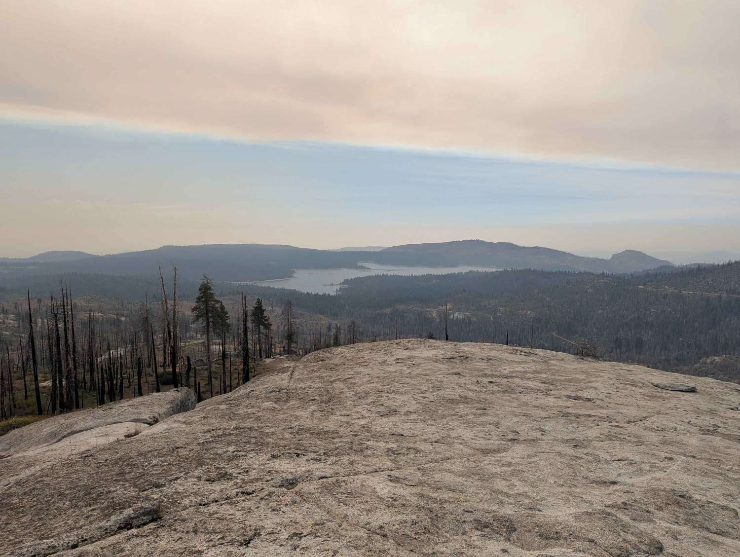 Azalea Creek - FS 9S014B