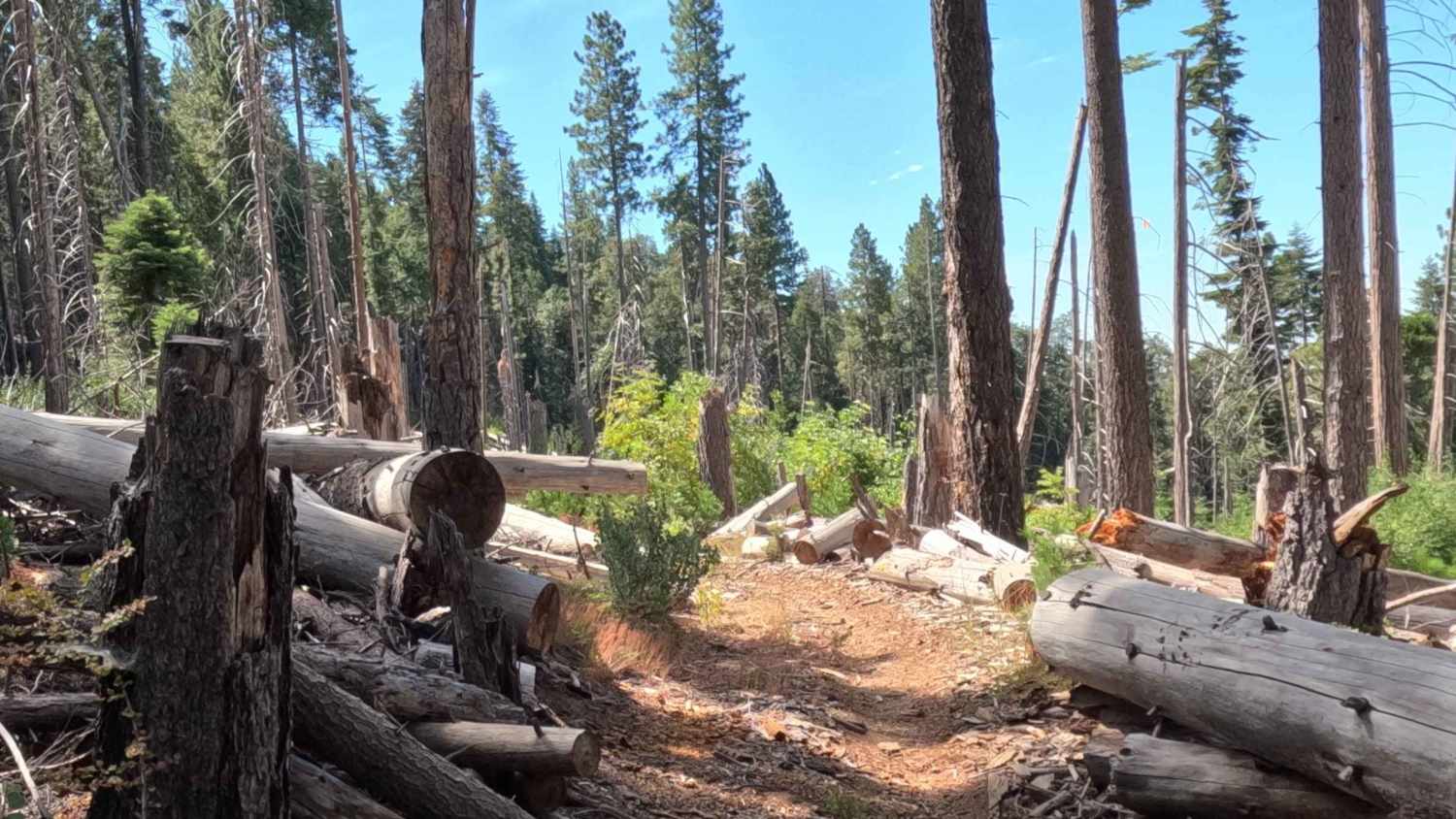 5s020x - Grant Grade Tollroad II