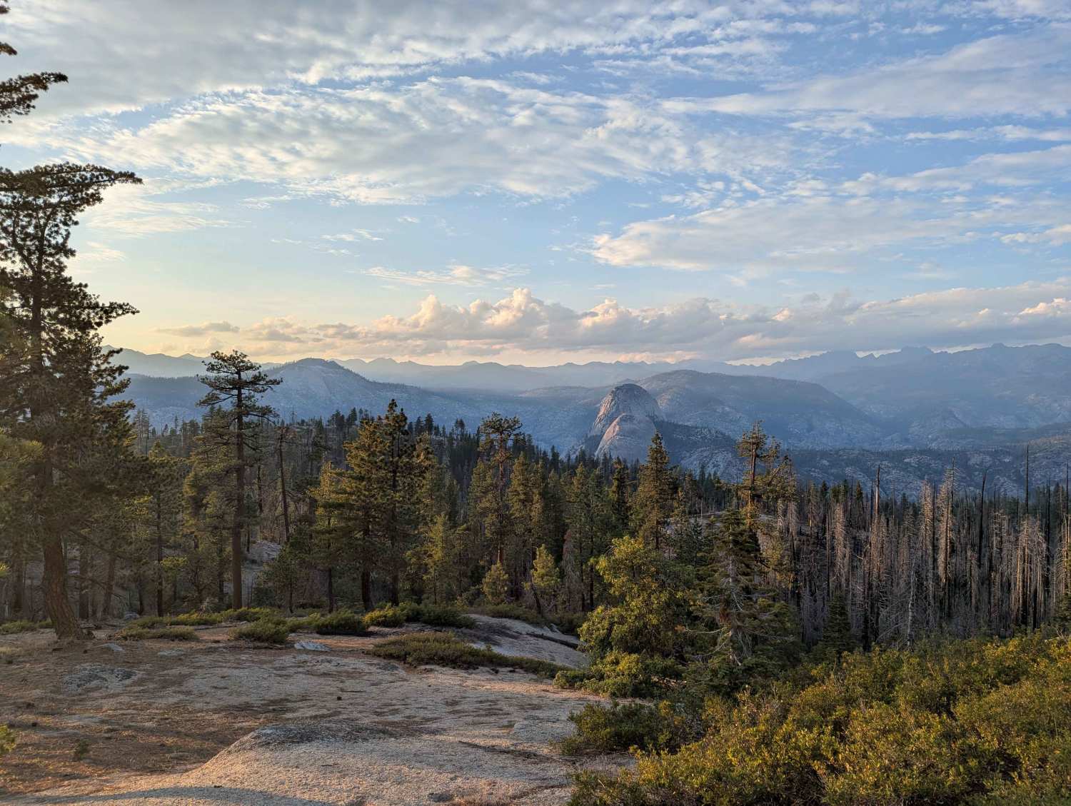 Luman Loop - FS 6S086