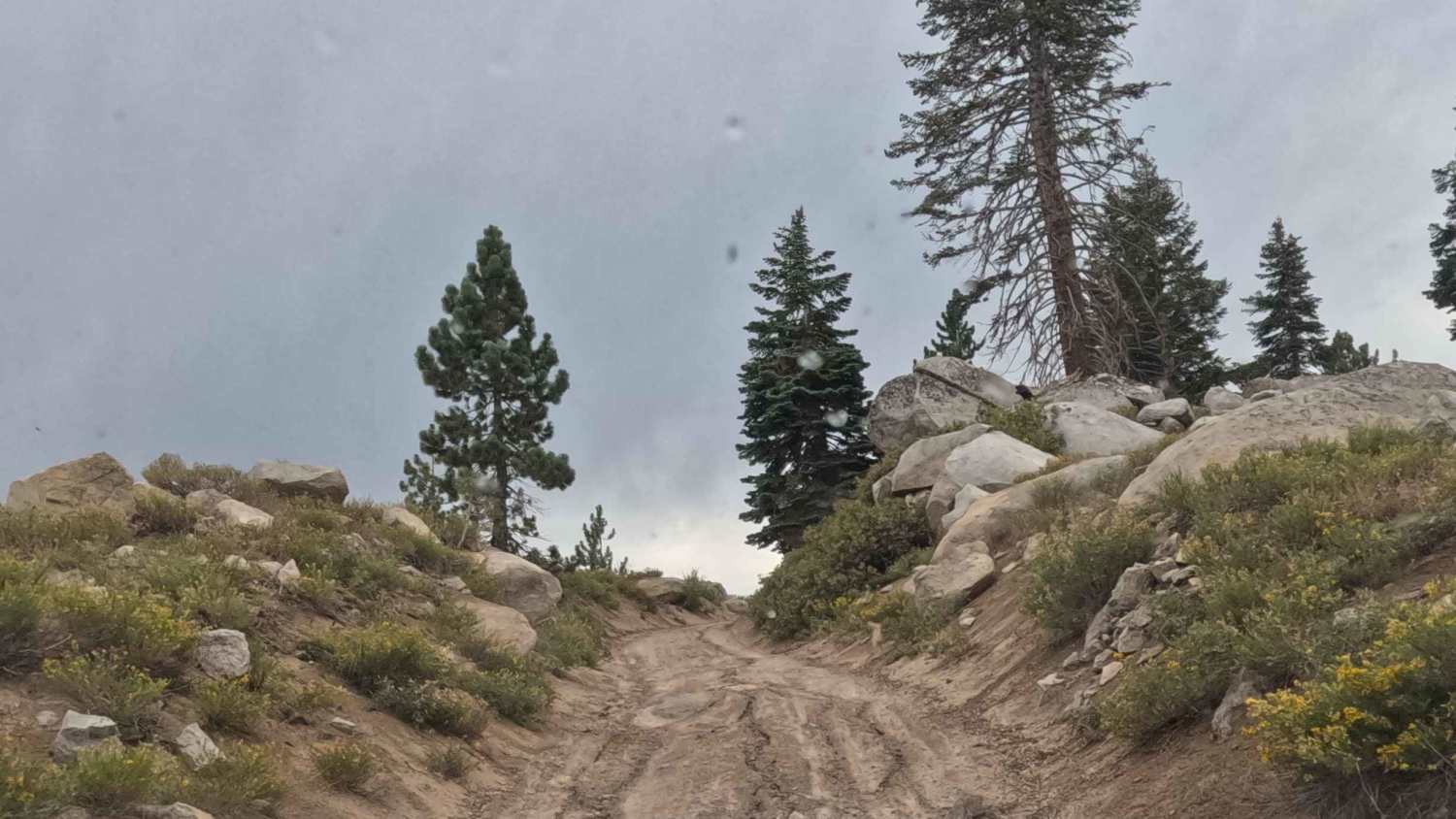 Mount Tom Lookout - FS 6S002A