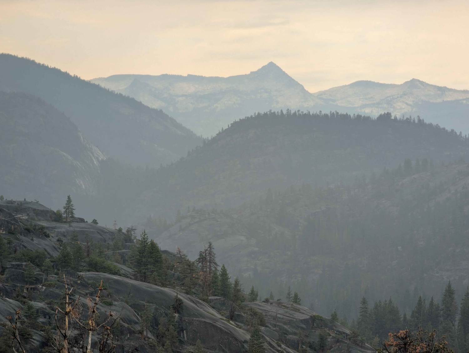 Bear Diversion OHV Route - FS 6S083