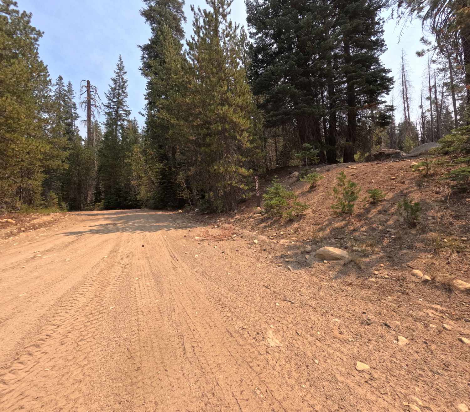 Tamarack Creek - FS 9s066