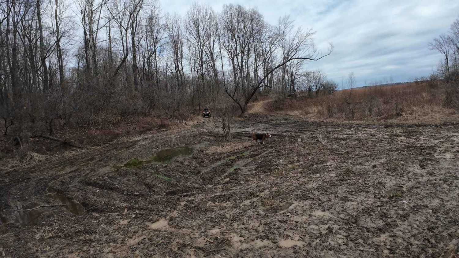 Panther Creek Trail