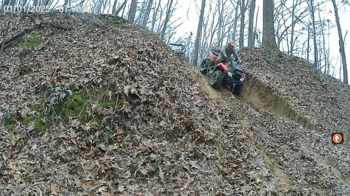 Crawford's Point Trail