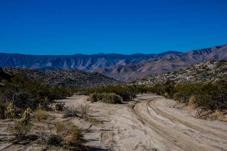 North Pinyon Mountain Road