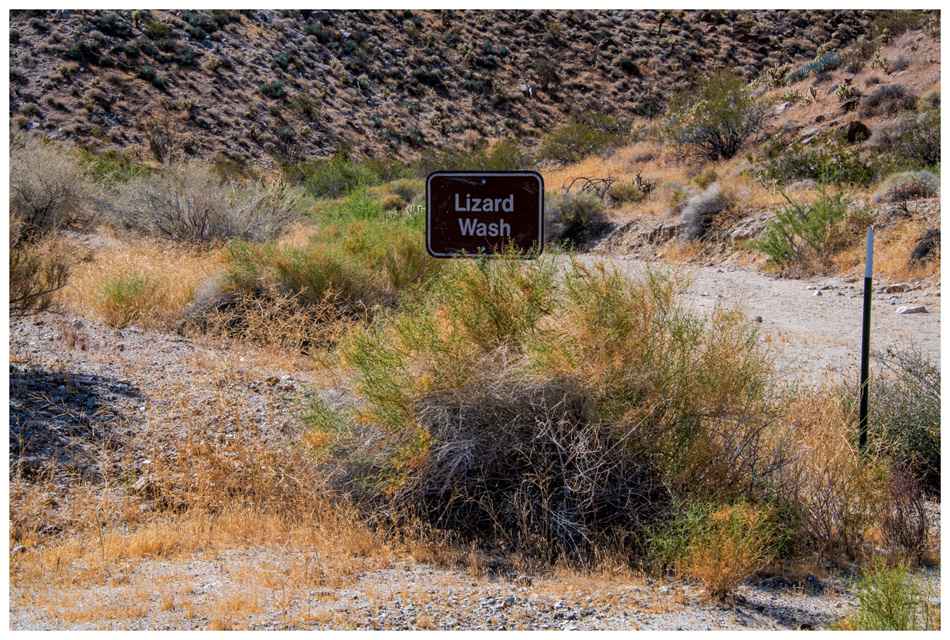 Lizard Canyon
