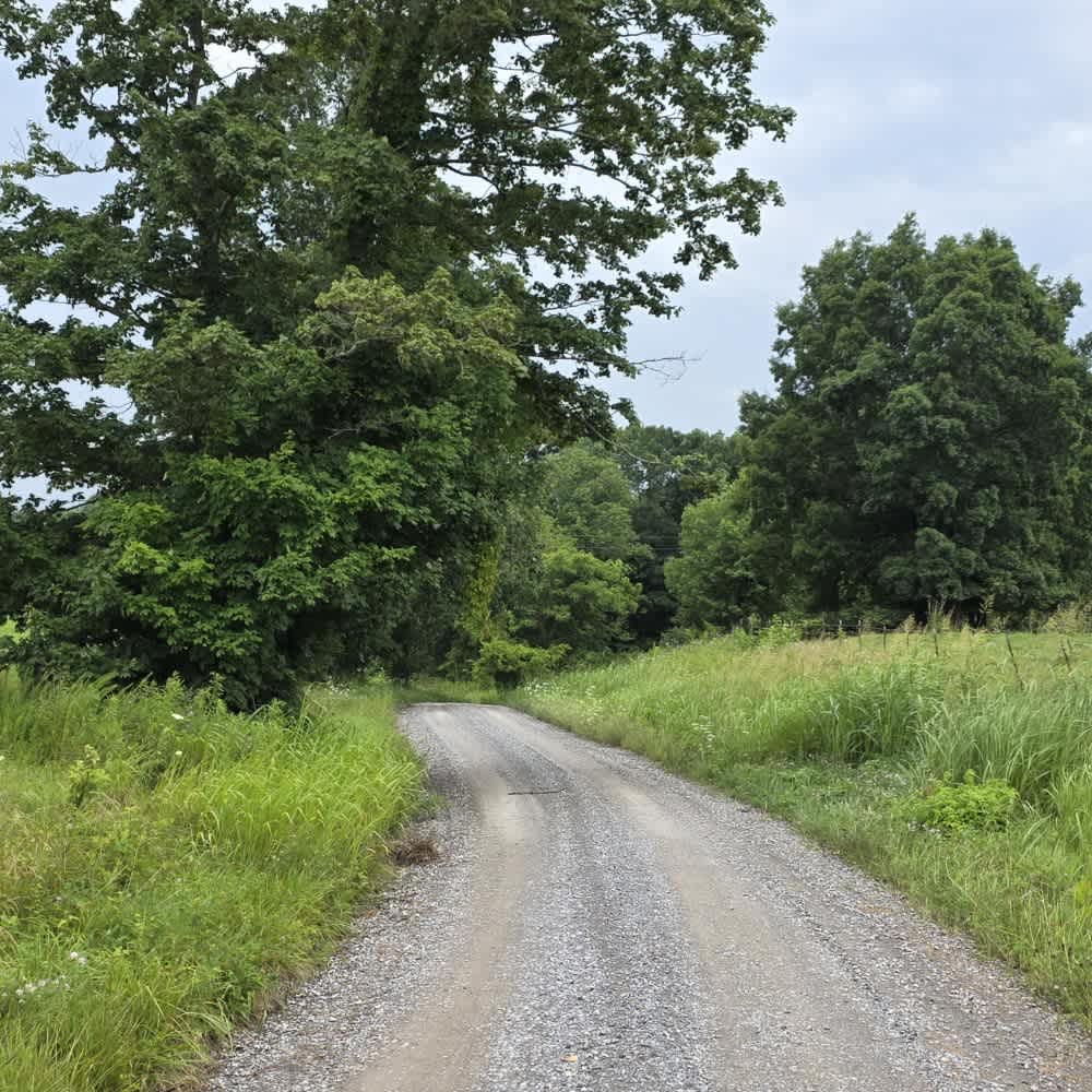 Shockley Hill Road - Macon County Tour