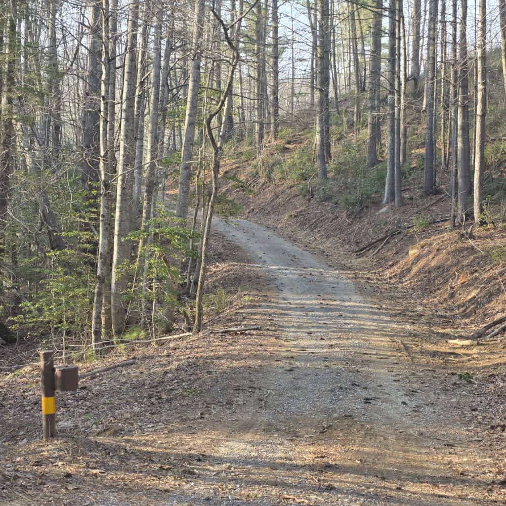 Laurel Mountain / White Rock