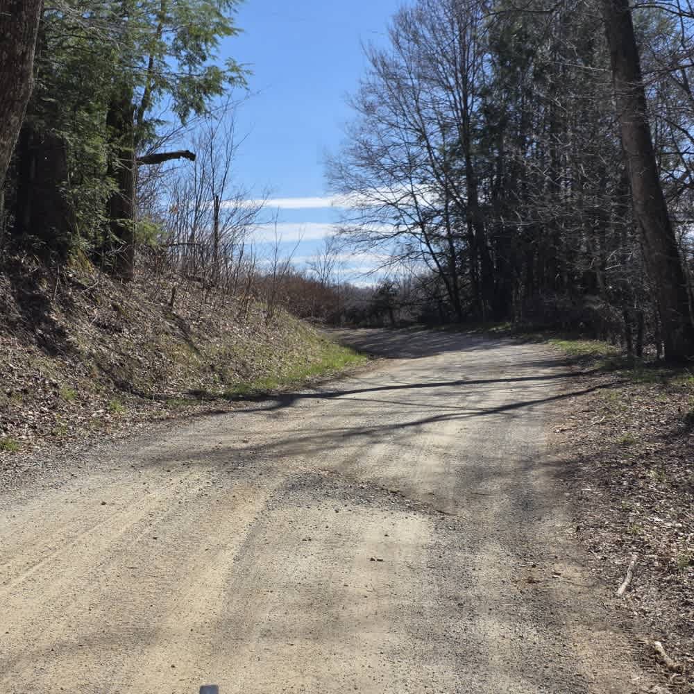 Walnut Mountain Road