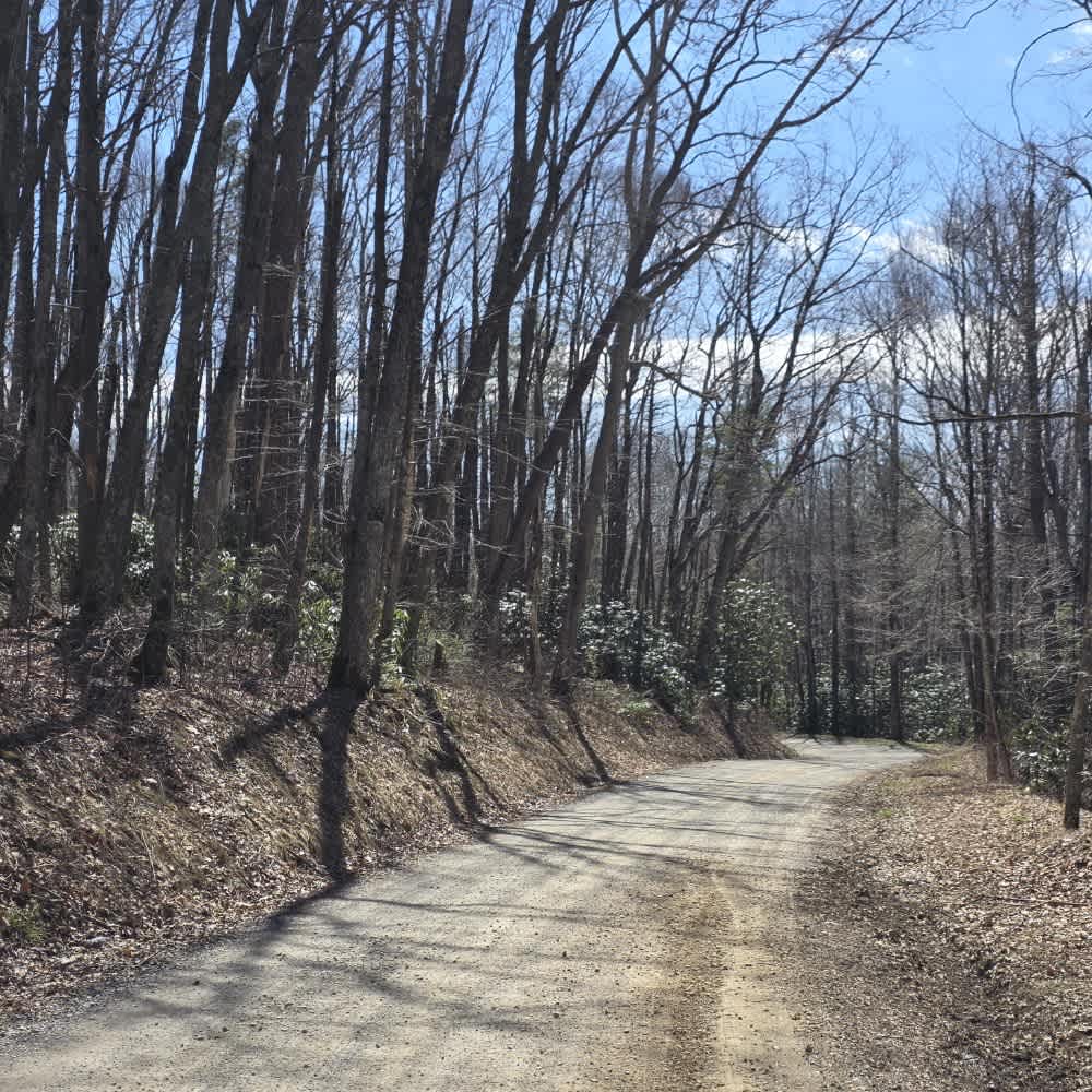 Walnut Mountain Road